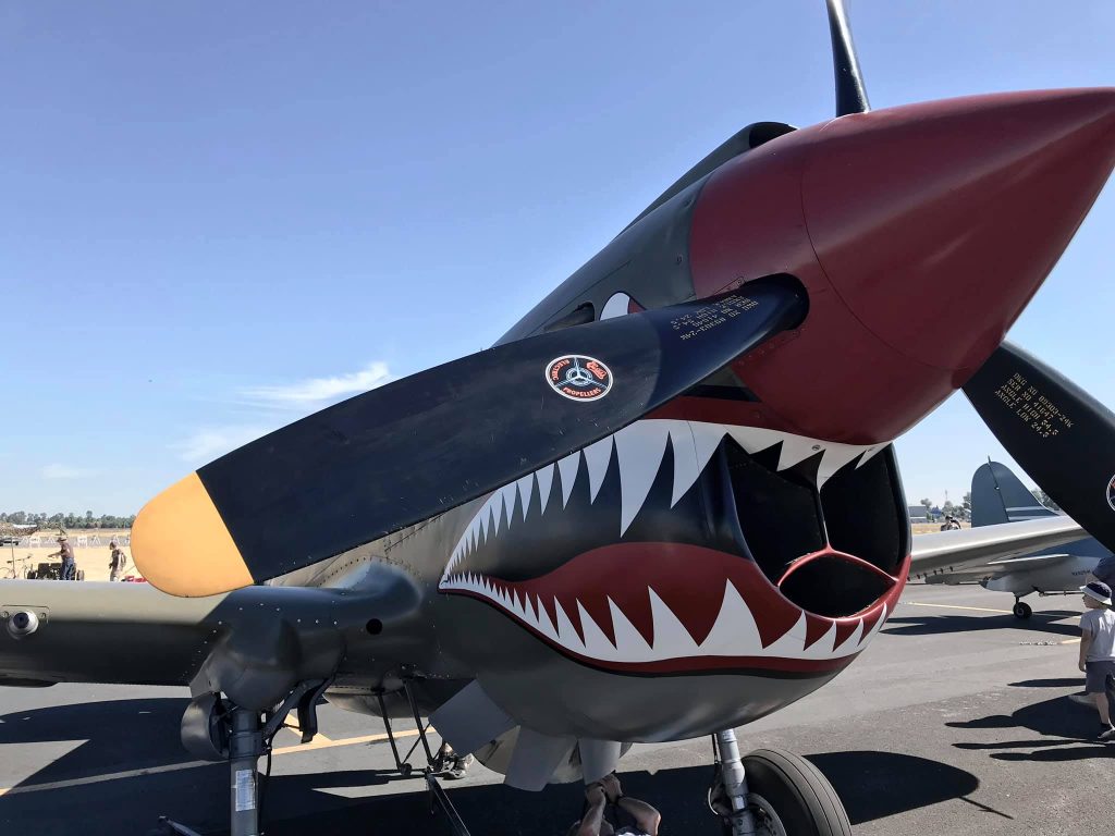 Randy's Warbird Profiles: Curtiss P-40 Kittyhawk N940AK 21 Randy Malmstrom P 40E N940AK 09