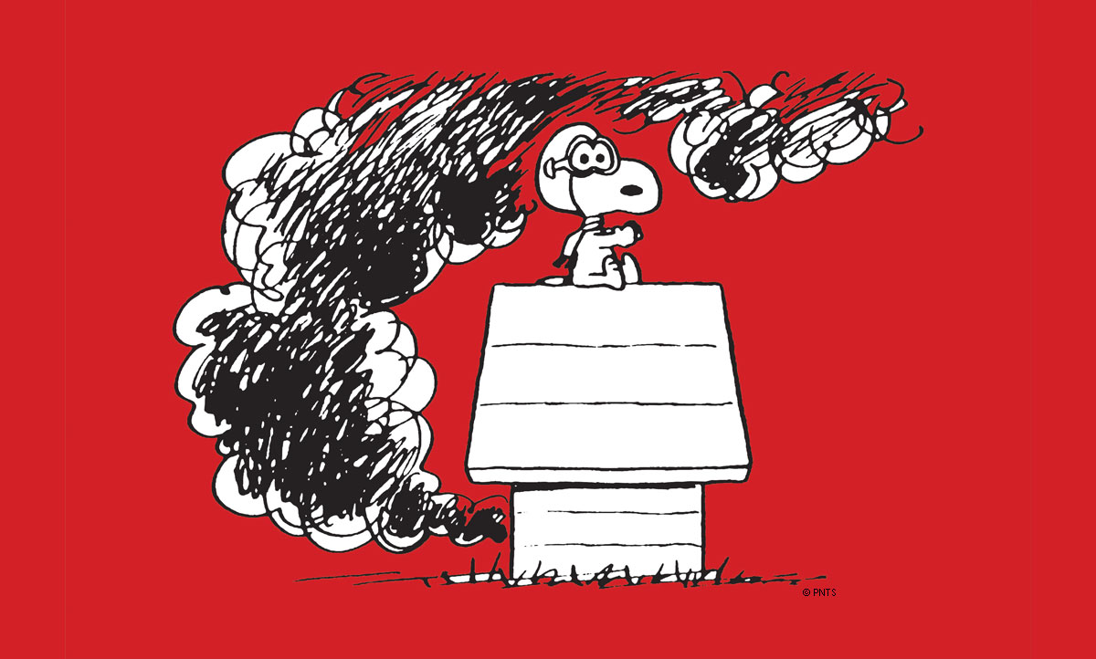 Snoopy and the Red Baron Visiting The Palm Springs Air Museum 10 RedBaron TE 1