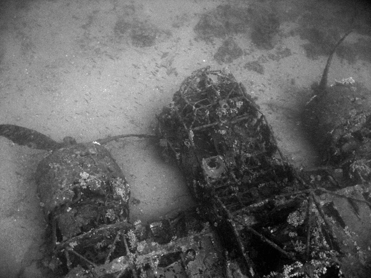 Today in Aviation History: First Flight of the Fiat BR.20 Cicogna 24 Relitto del BR20 da sopra