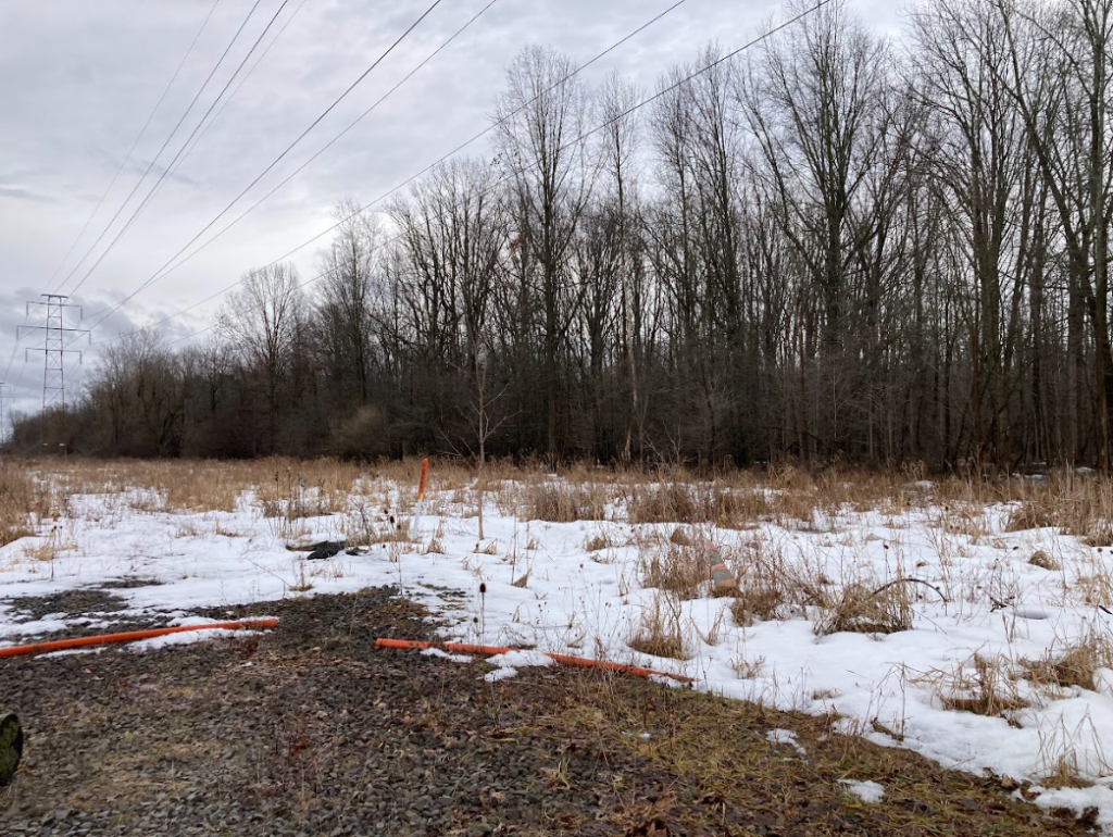 Gordon H. Root, a Mustang Pilot Not To Be Forgotten: Honoring a Rochester, NY P-51 Mustang Pilot Lost Too Soon 14 Root Crash Site TODAY Crittenden Rd by Austin Hancock