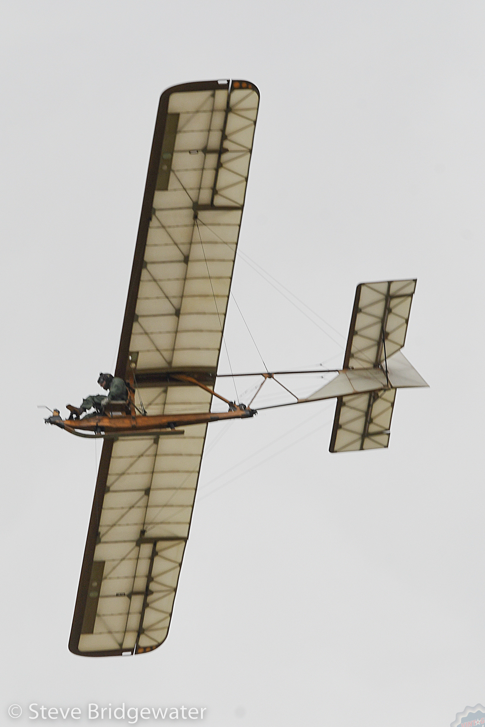 Fly Navy Display at Old Warden 30 SDB 2022 OW July Fly Navy EoN Primary SDB 6444 1