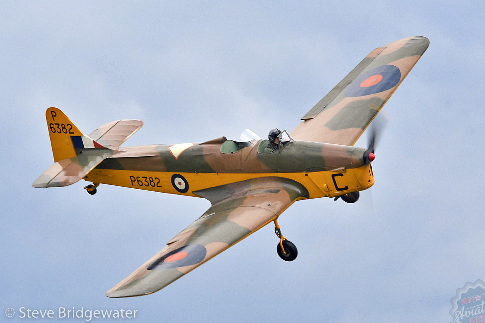 Fly Navy Display at Old Warden 31 SDB 2022 OW July Fly Navy Miles Magister SDB 5831 1