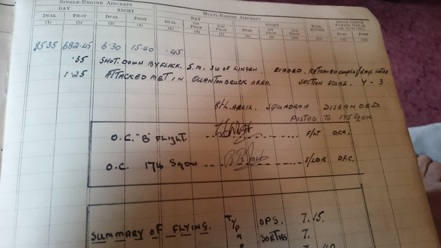 Hawker Typhoon Mk.IB RB396 - Final Wartime Flight Anniversary 11 Screenshot 2020 03 31 at 22.11.09