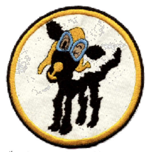 Combat-Veteran Curtiss P-40N-5 Project for Sale 12 Screenshot 2023 07 15 at 6.16.30 PM