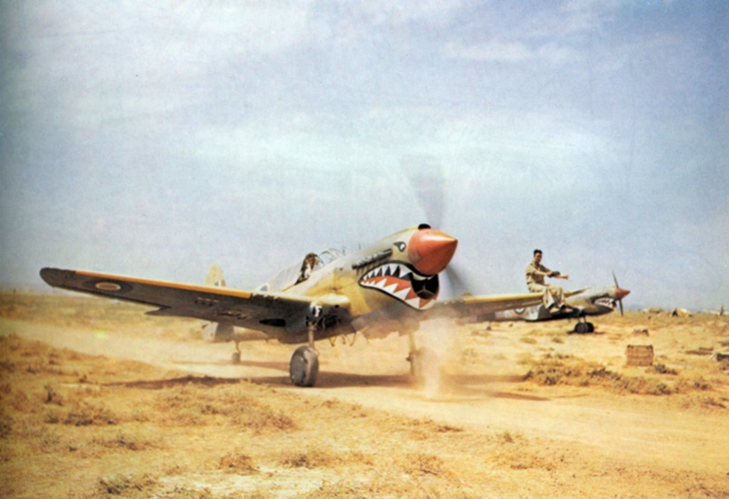 Desert War Kittyhawk Unveiled in Egypt 34 TR 000978 kittyhawk 1