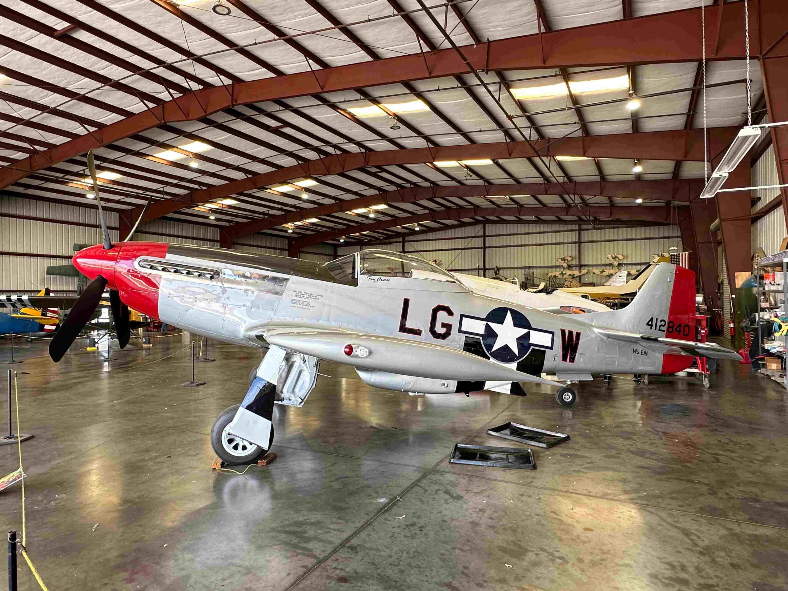 The Development of The Lost Bird 12 The Development of The Lost Bird 2 scaled