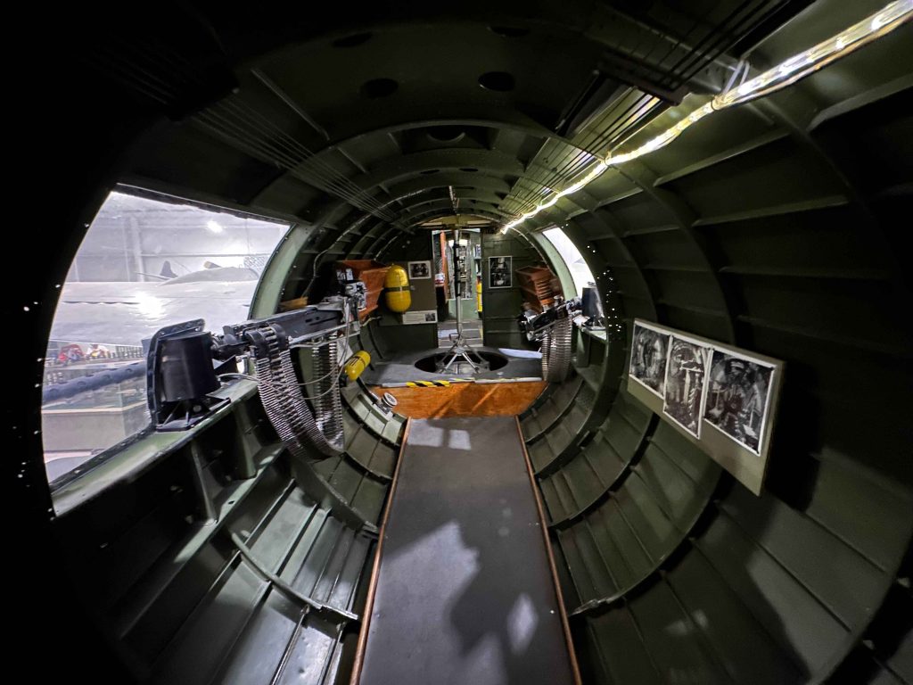 The Development of The Lost Bird 11 The Development of The Lost Bird 3