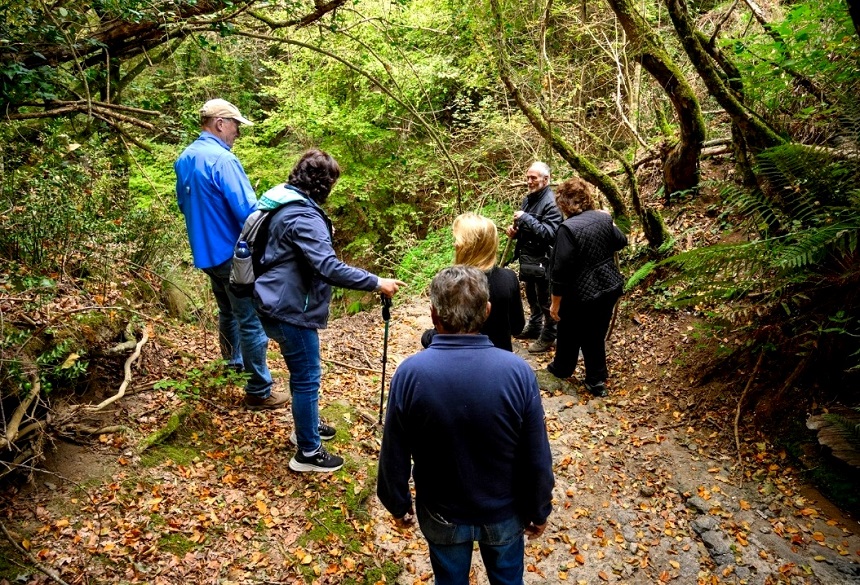 A Wartime Rescue Remembered: How a Tuscan Farmer Saved Two World War II U.S. Pilots 13 The Letter the Lightning and the Cave A World War II Rescue Remembered 6