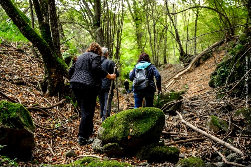 A Wartime Rescue Remembered: How a Tuscan Farmer Saved Two World War II U.S. Pilots 12 The Letter the Lightning and the Cave A World War II Rescue Remembered 7