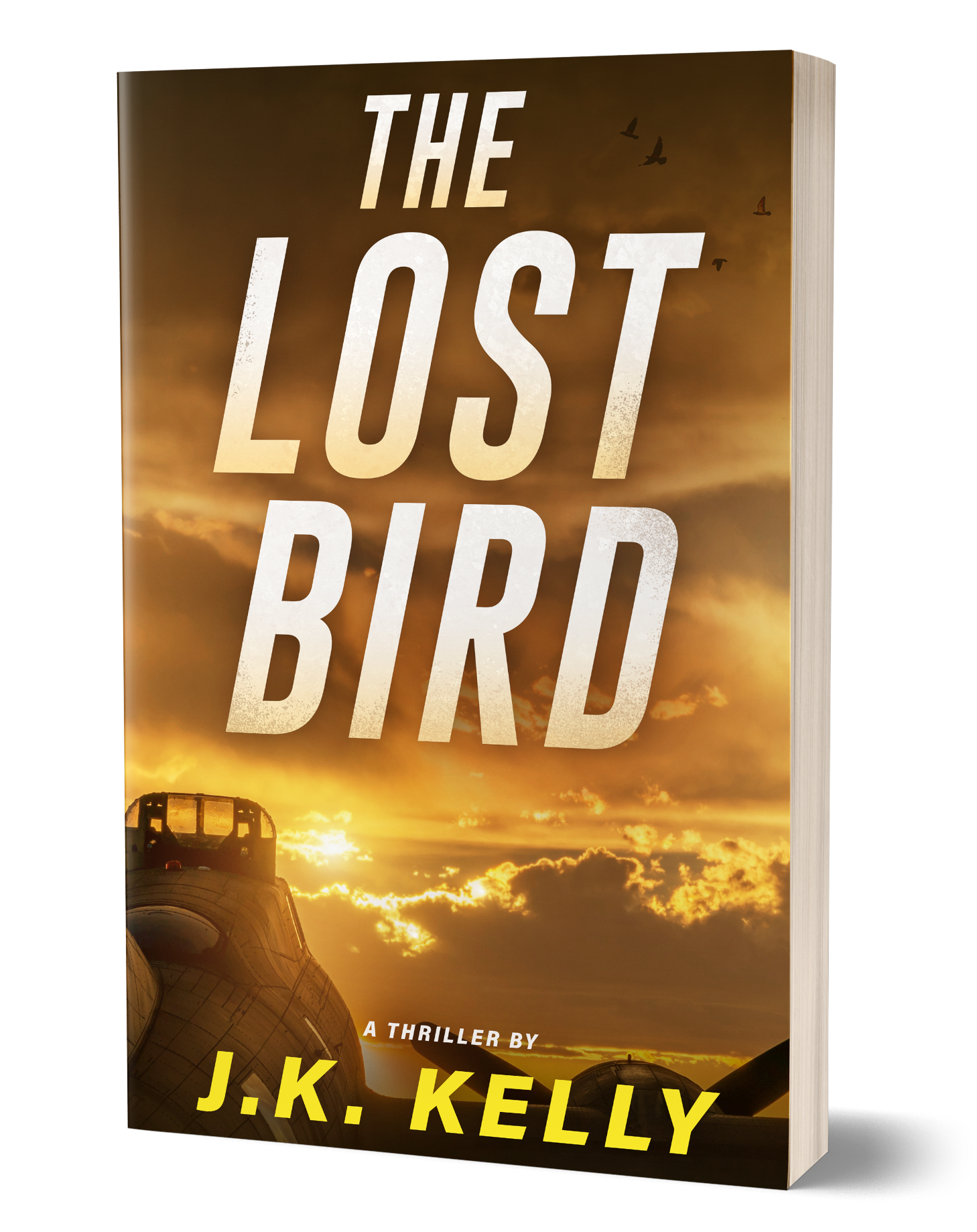 Thriller Author Launched B-17 Based Novel "The Lost Bird" 10 The Lost Bird B 17 book