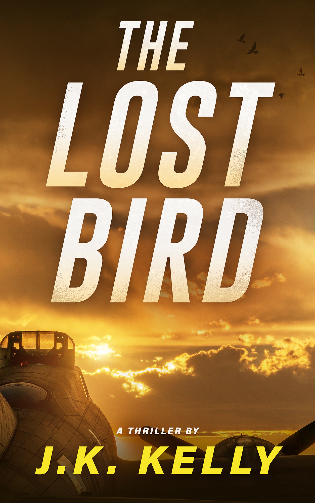 The Development of The Lost Bird 16 The Lost Bird eBook Small 1