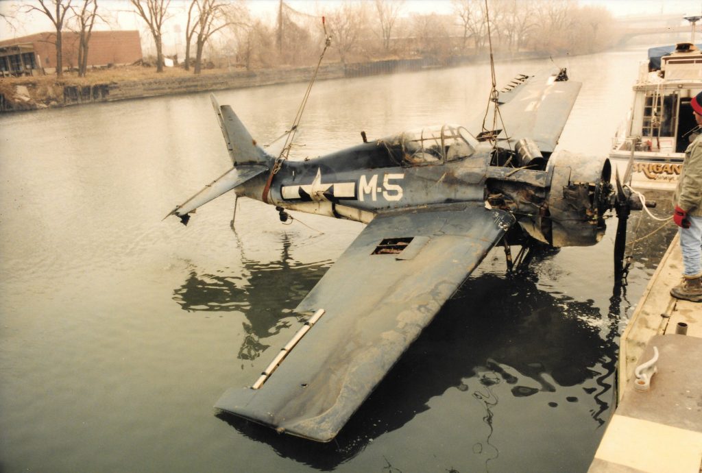 The Great Navy Birds of Lake Michigan 11 The Recovery of the Great Navy Birds of Lake Michigan 2