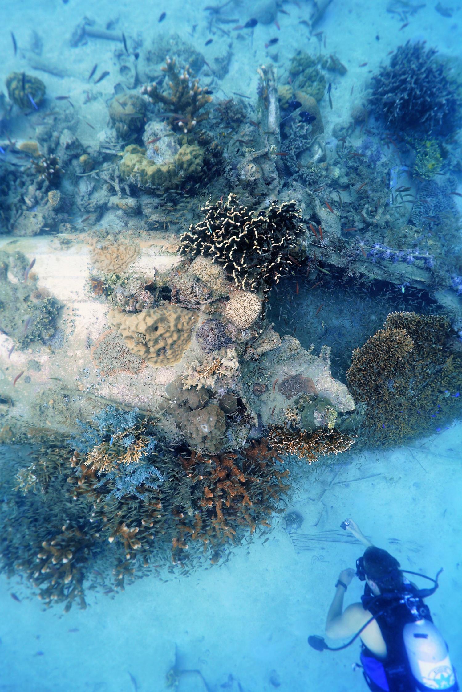 Two Missing World War II B-25 Bombers Documented in Papua New Guinea 12 Two Missing World War II B-25 Bombers Documented by Project Recover Off Papua New Guinea _2