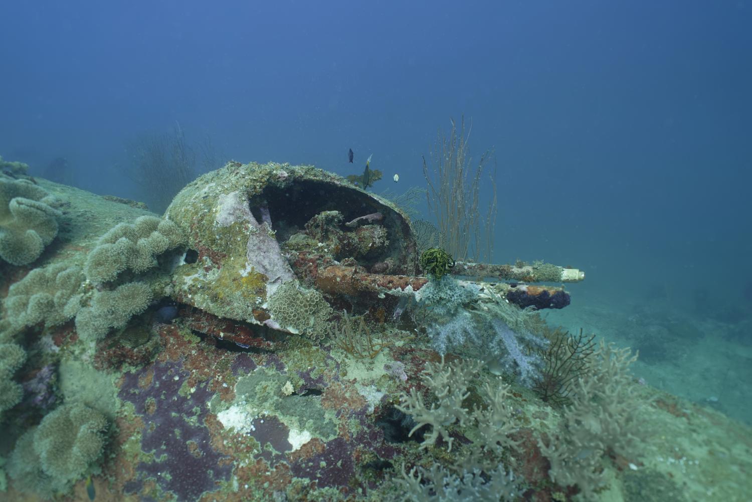 Two Missing World War II B-25 Bombers Documented in Papua New Guinea 11 Two Missing World War II B-25 Bombers Documented by Project Recover Off Papua New Guinea _3