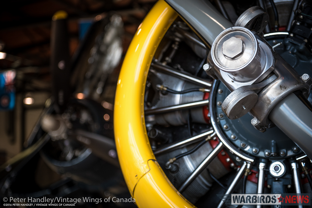 Vintage Wings of Canada Corsair - Interview With Test Pilot Paul Kissman 11 The Harvard IV's nose with the Corsair behind. (photo by Peter Handley)