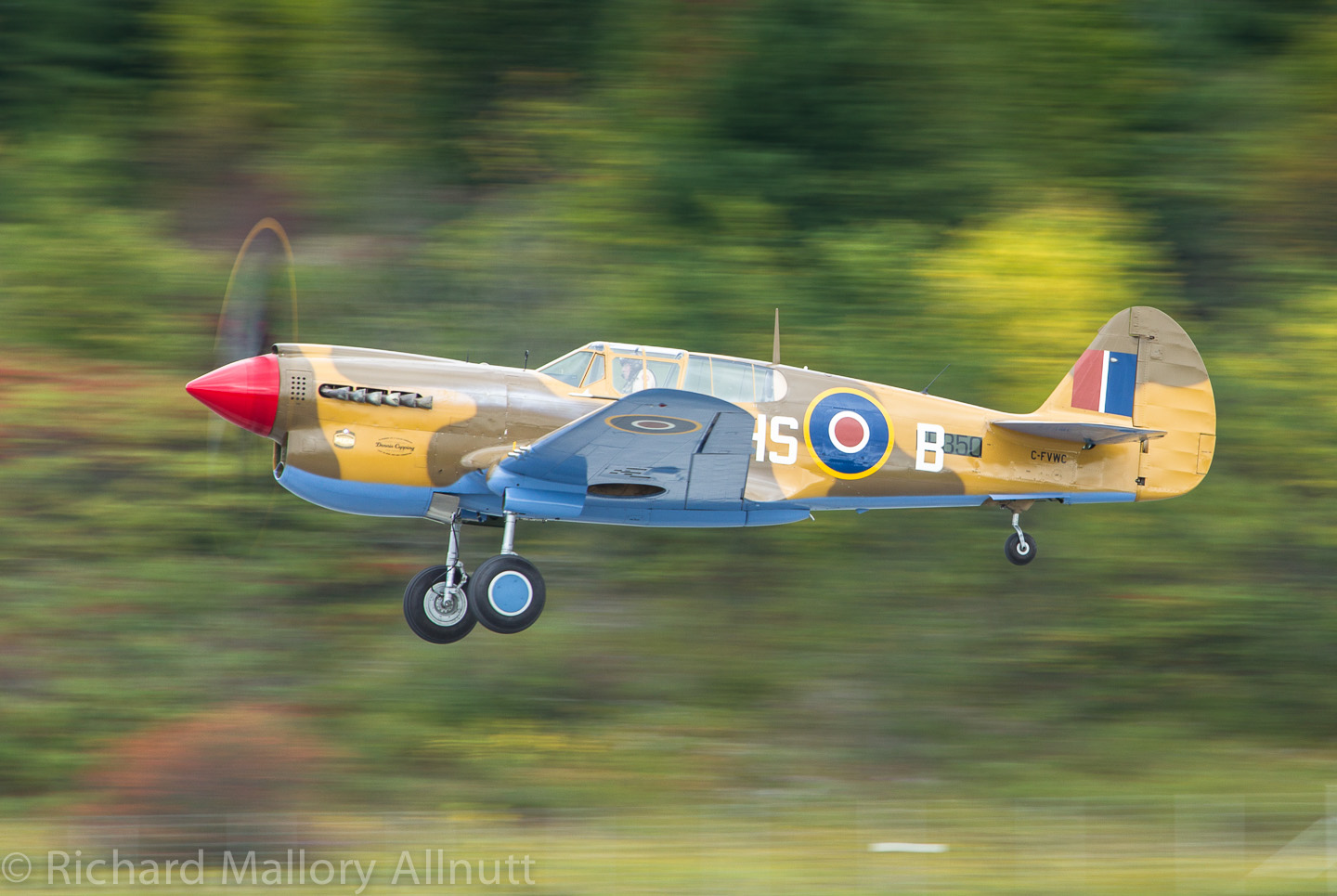 Auckland Forum Meet 2014 12 One of Warren Denholm's masterpieces, now with Vintage Wings of Canada. (photo by Richard Mallory Allnutt)