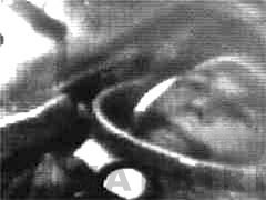 Vostok 1: 60th Anniversary of Historic First Human Spaceflight 11 Vostok1