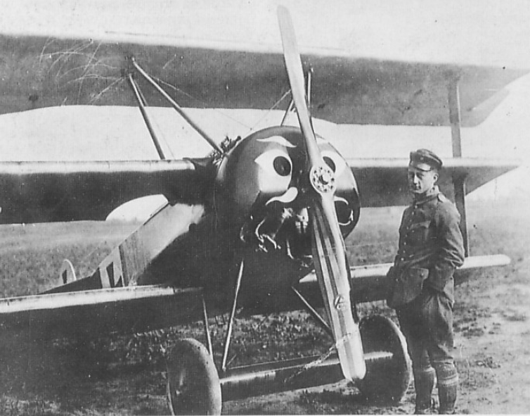 Aces of the Great War: Werner Voss - The Face of the Fokker Triplane 10 Werner Voss plane nose