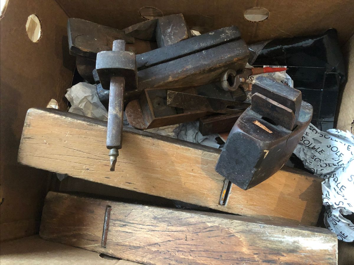 The People's Mosquito - Latest News - February 2020 Update 15 a686da2d 24bb 447f 9fd9 e2f571778aee