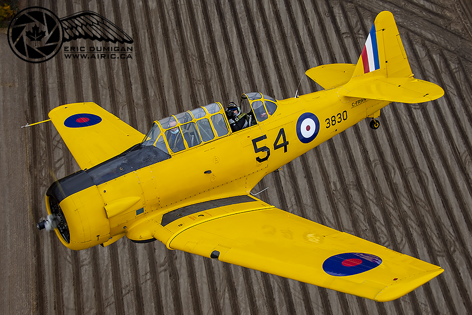 Canadian Harvard Roll-Out and Dedication 11 chaaa2a202010250280