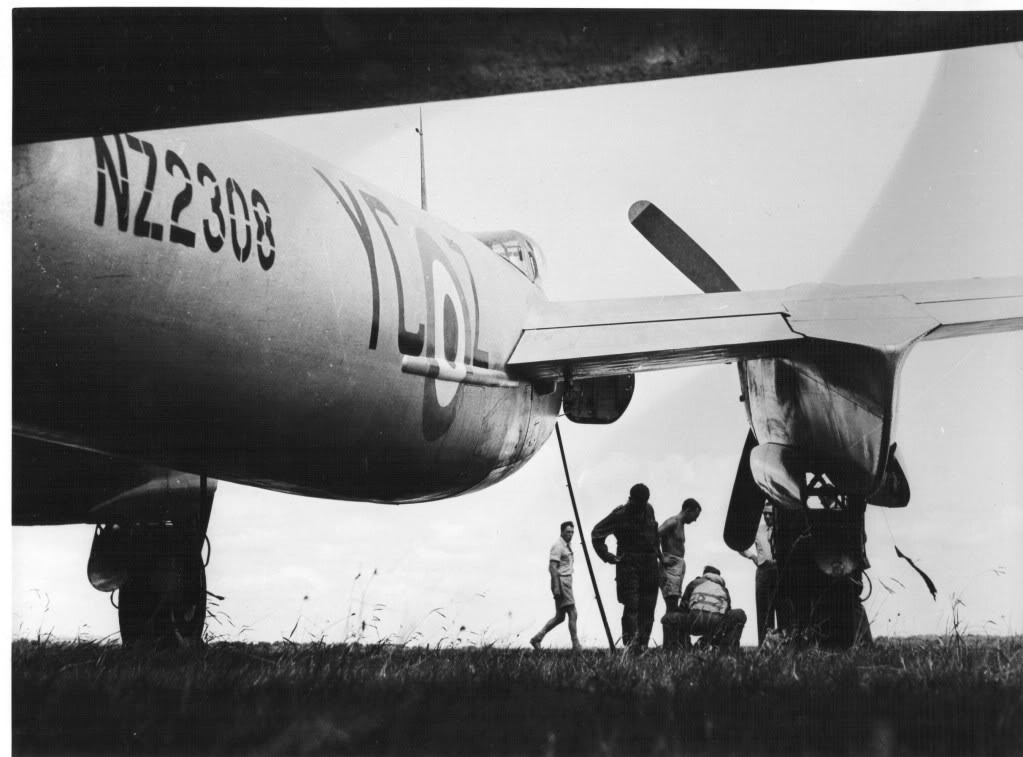 For the Love of the Mosquito Dream 11 image002 2