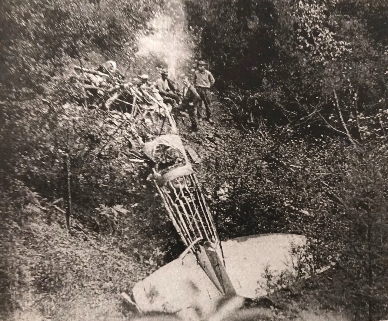 Randy's Vintage Profiles: Boeing Model 40C 12 rsw 1280