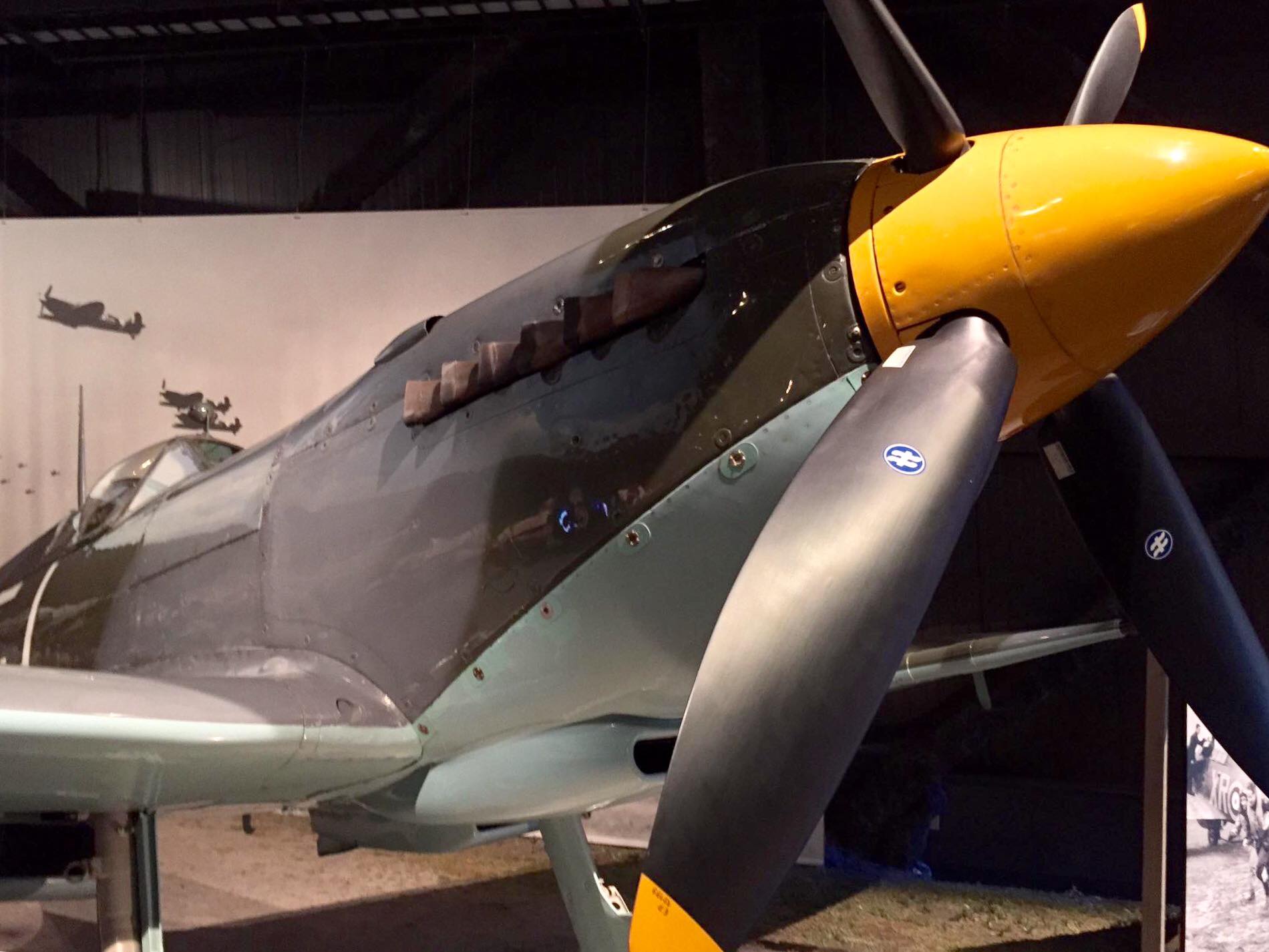 Randy's Warbird Profiles: Supermarine Spitfire Mk. IXc MK923 19 465413568 9323082661052641 6849873234571093626 n