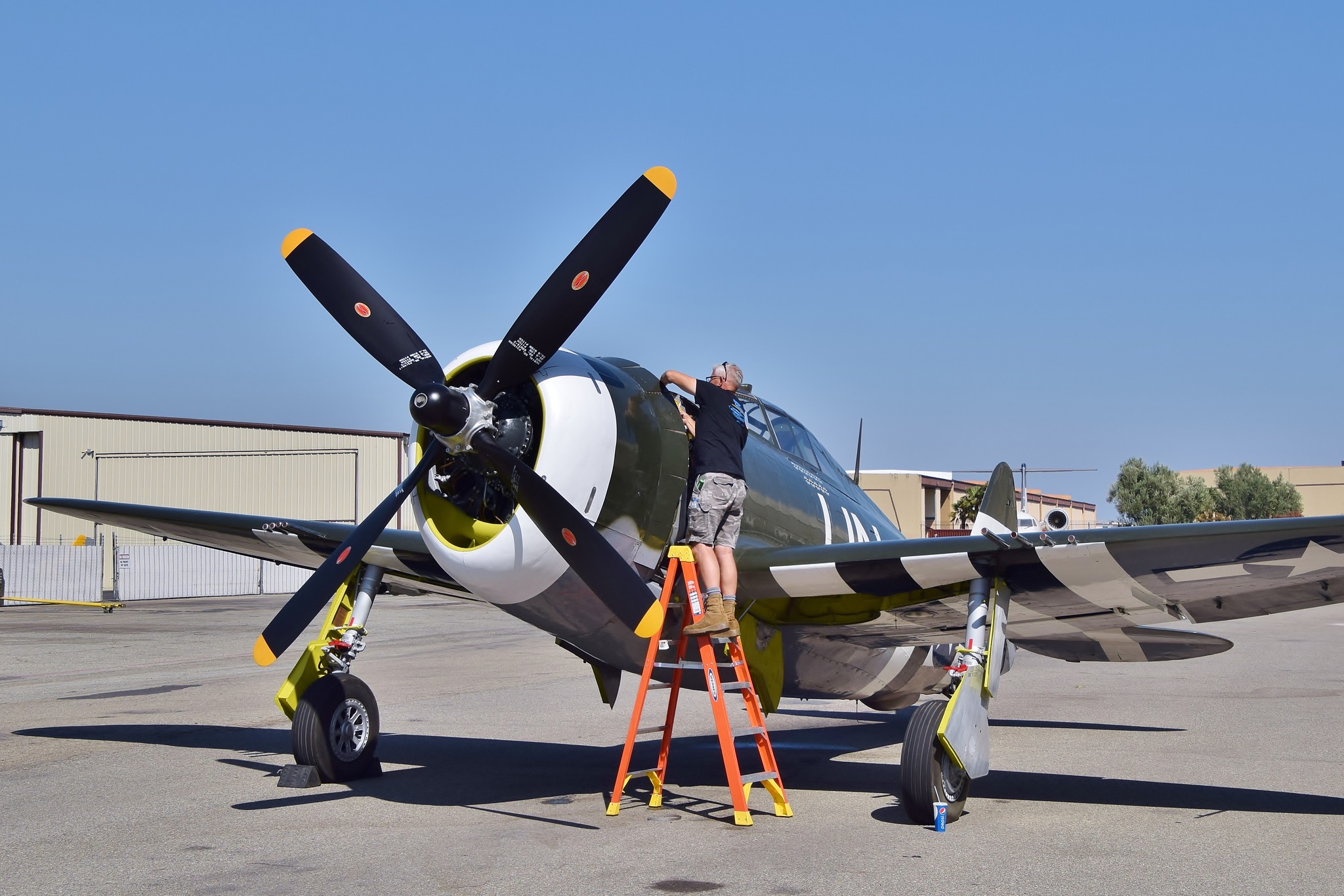 Planes of Fame's P-47G Thunderbolt Flies Again! 14 548319176 24551302424510150 3067482221487742563 n