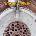 Old Rhinebeck Aerodrome Museum's Anzani Engine Appeal 13 60 hp 6 cylinder Anzani Engine