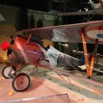 Randy's Warbird Profiles: Nieuport 24bis 11 69125077 2864820293545609 9197547957577056256 n