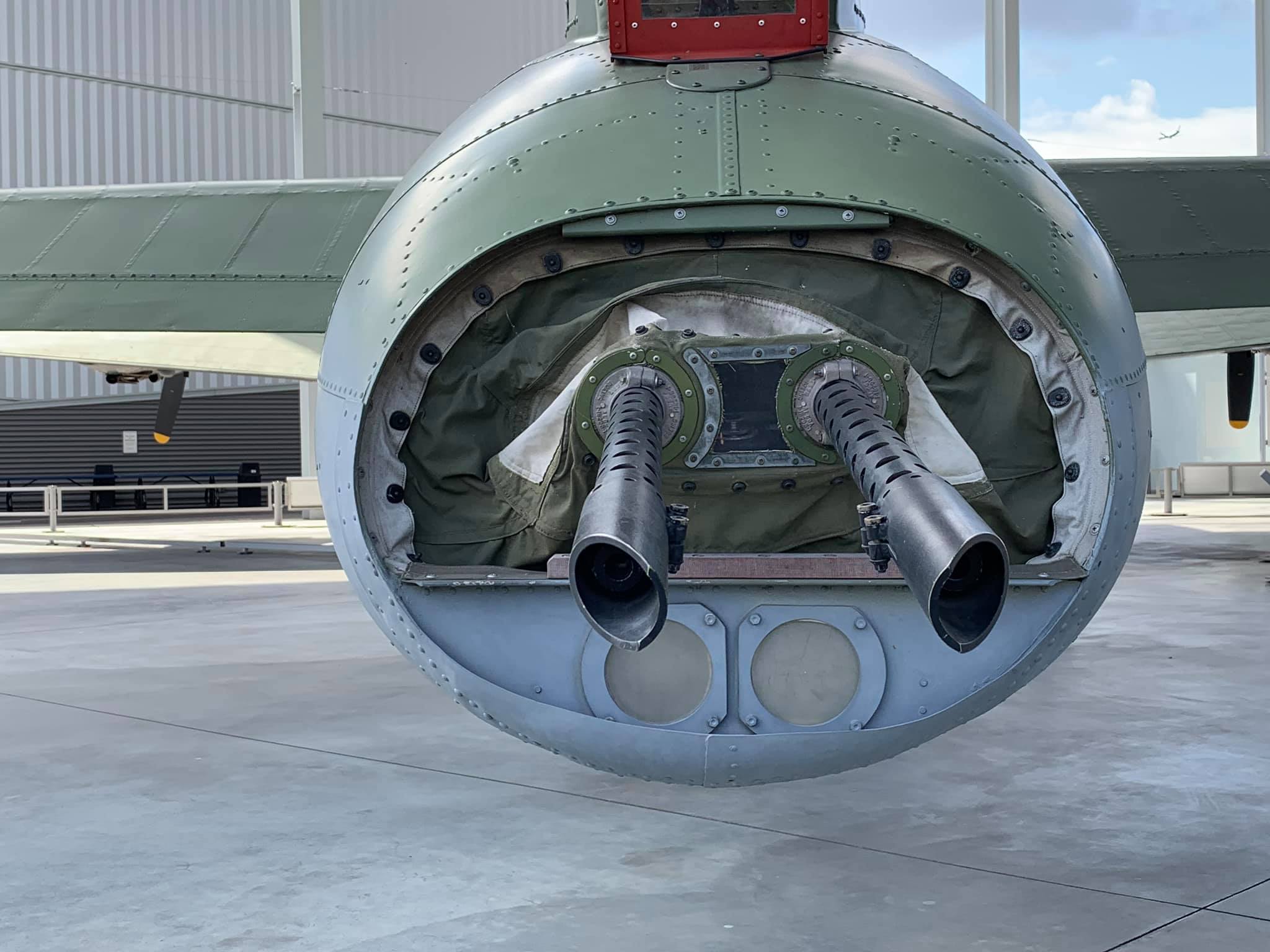 Randy's Warbird Profiles: Boeing B-17F Flying Fortress, s/n 42-29782 37 69343316 2866195383408100 1598039558543376384 n