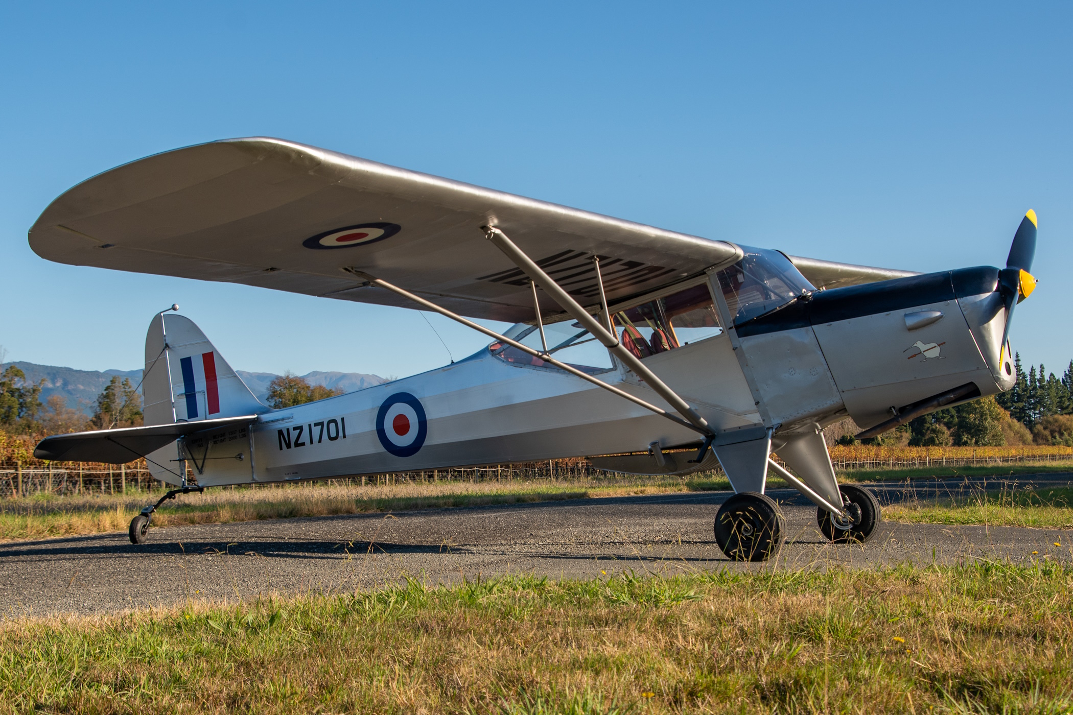 [Photo by Grant Newman]