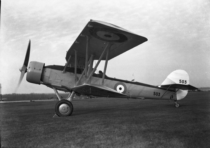 Blackburn Shark MIKAN 3581010