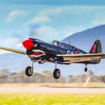 Avalon Airshow 11 DPP 00023 copy1