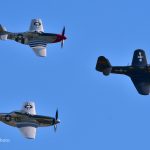 DSC 0001 COPYRIGHT JOHN FREEDMAN 10