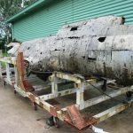 The Dornier Do 17 One Year Later 10 Dornier Forward Fuselage June 2014