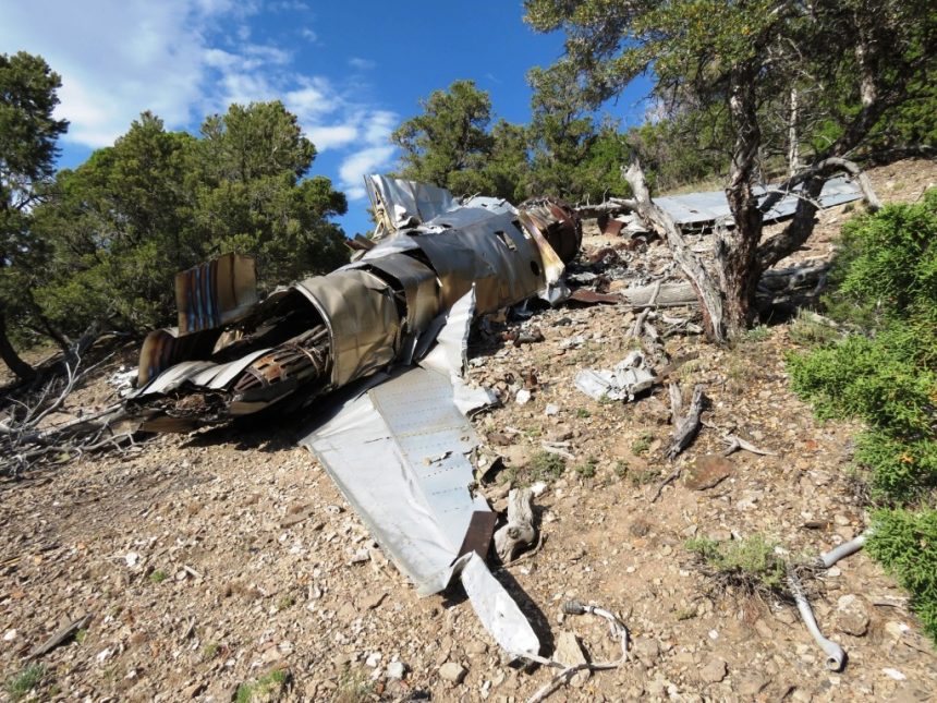 F 100C Right side view photo by Craig Fuller