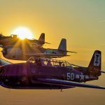 TBM Gathering - 90 Tons of Turkeys Invade Illinois 13 GSM 8879 lo res e1769178653251