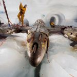 Into the Ice: The Ongoing Mission to Recover The Lost Squadron's P-38 “Echo” in Greenland 10 Greenland Expedition Society P 38 Glacier Girl