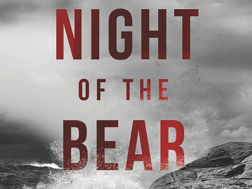 Night of the Bear Paperback