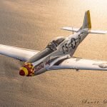 The Iconic P-51D 'Swamp Fox' Hits the Market 11 P 51D Swamp Fox Scott Slocum Photo 2
