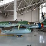 Randy Malmstrom Evergreen Me 262 12