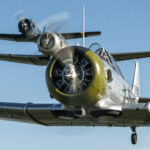 RoundUp Gary Daniels 16