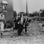 Museum Launches Spitfire 10K Run 12 Scramble low 21