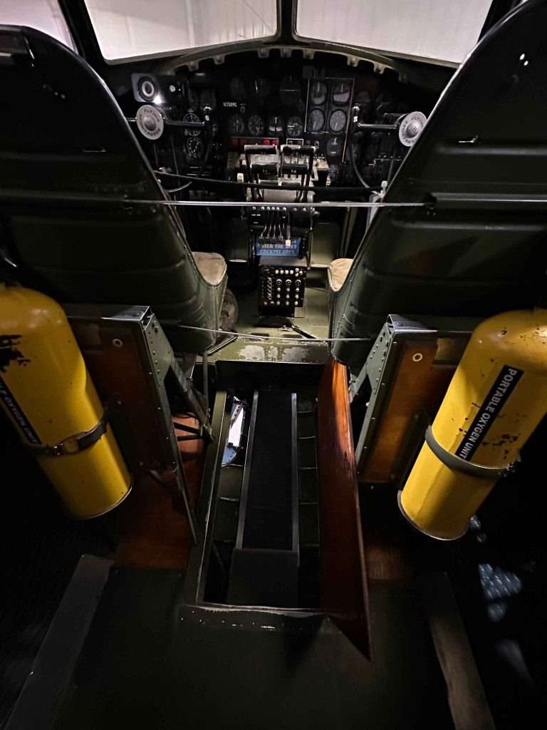 The Development of The Lost Bird 13 The Development of The Lost Bird 6