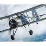 Fairey Swordfish to Lead VJ-Day Flypast Over London 13 The historic Royal Navy Swordfish o