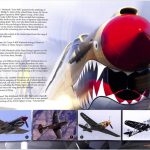 Travel For Aircraft Bookshelf - Wings Like Eagles: The Evolution of Military Aircraft from Wright to Warbird by John Thow 13 Wings Like Eagles 12082025 004 OCR