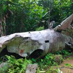 Yam. wreck fuselage copy