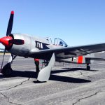 Yagen Acquires another FW-190 10 photo 3 2